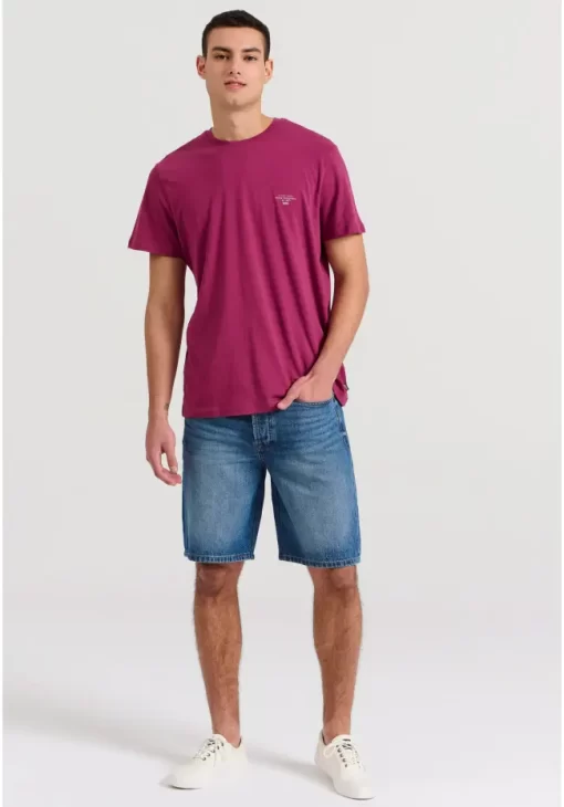 Essential t shirt με λαιμόκοψη FBM009 001 04 LT Aubergine (2)