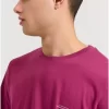 Essential t shirt με λαιμόκοψη FBM009 001 04 LT Aubergine (3)