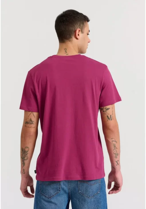 Essential t shirt με λαιμόκοψη FBM009 001 04 LT Aubergine (4)