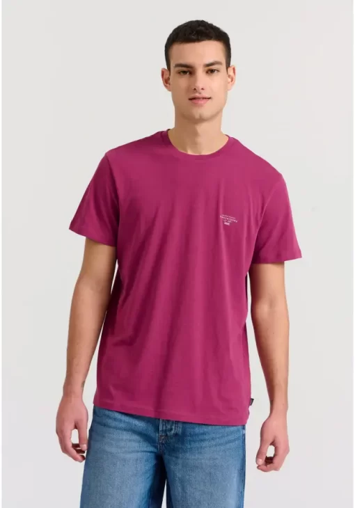 Essential t shirt με λαιμόκοψη FBM009 001 04 LT Aubergine