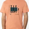 t shirt με στάμπα 10054348414 D.K Orange (3)