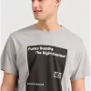 T shirt με minimal branded τύπωμα FBM009 311 04 Grey (3)